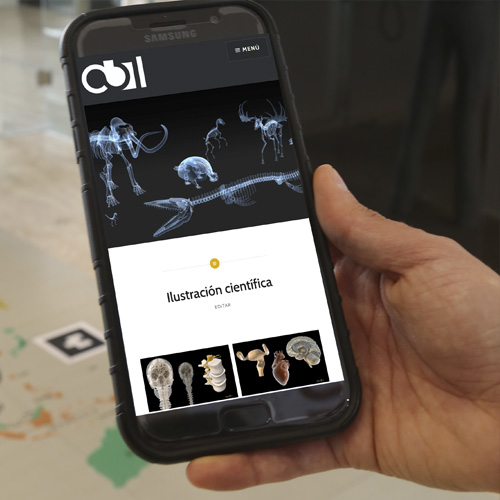 Generic placeholder image